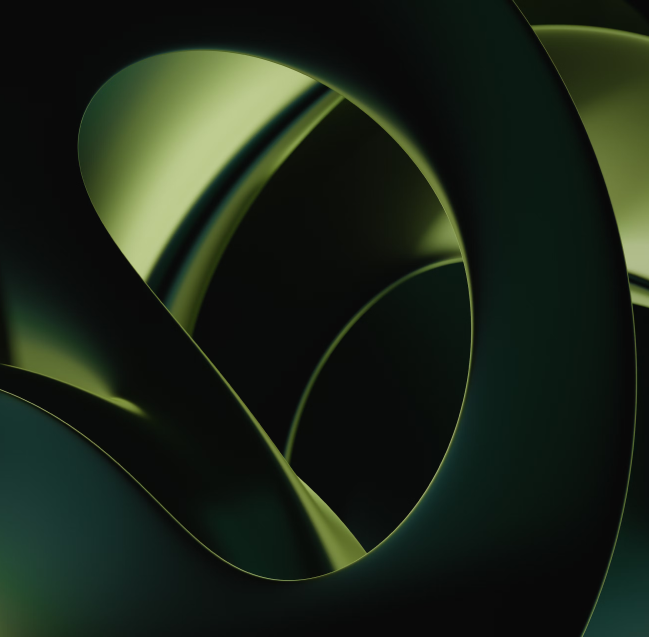 의미없는 이미지